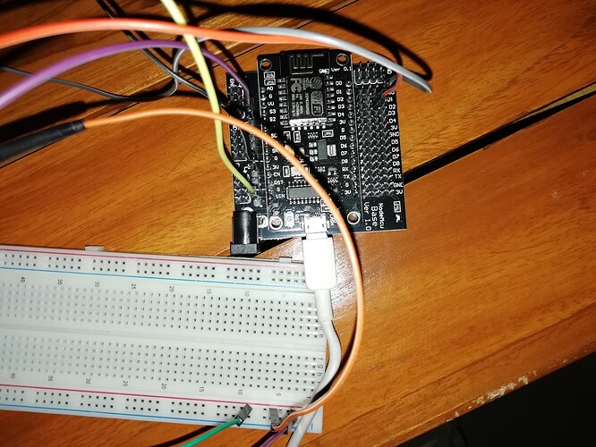 78988302_1175761485959940_3872845665197359104_n