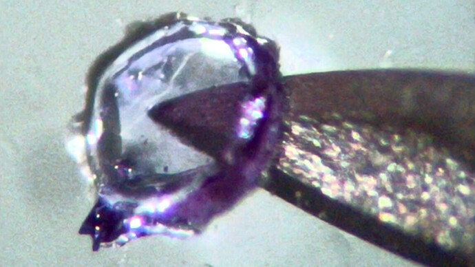 μRepRap สร้างความฮือฮา: พิมพ์ 3 มิติละเอียด 10 ไมครอนได้สำเร็จด้วย 'ยาทาเล็บ'!